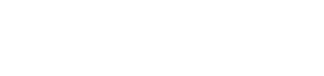 The CEO Institute